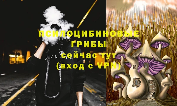 соль ск Белоозёрский