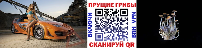 omg ТОР  Окуловка  Псилоцибиновые грибы мицелий 